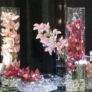 Gallery image #15