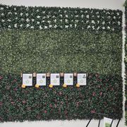 a wall of plants