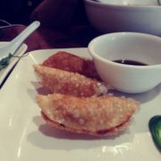 Five Piece Chicken Pot Stickers