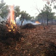 Firestorm pile burning winter 2015 in forest ranch ca