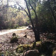 After fuel break along road in paradise ca