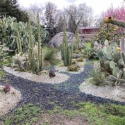 Partial view of the garden