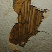 Did anyone else ask for termites and black mold with their house? If so you'd love renting from these people.