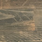scratches on wall??????