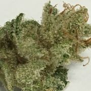 White Widow Original