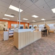 Eyeglasses for sale at Stanton Optical store in Chico, CA 95928