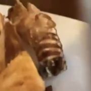 A FUCKING ROACH