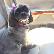 Somner did such a great job on Missy!