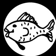 a fish