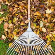 a leaf rake laying in a pile of leaves