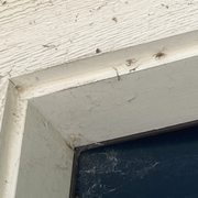 Gallery image #13