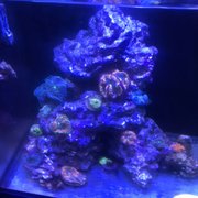 Aquarium designed and installed