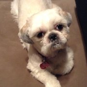 There is no excuse for the way Sophie was cut!  You can make all the excuses you want!