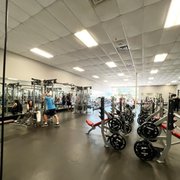 Free weight room! Full of every single weight you can imagine. Squat racks, bench press, etc.