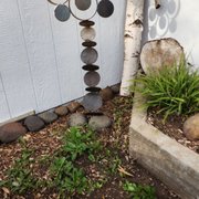 Gallery image #7