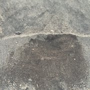 Beautiful blend. Comprises of mushroom compost green waste compost mulch and top soil. 35 dollars a yard