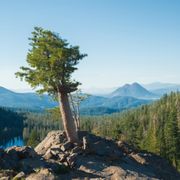 From a landscape workshop at Castle Lake
