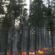 Prescribed Fire Operations