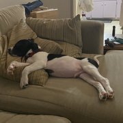 Sleepy boy!