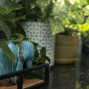 Gallery image #18
