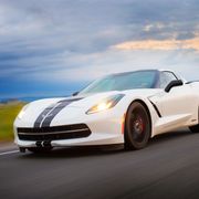 Yes, we photograph cars, horses, pets, you name it!  Call Avalon, 530-891-3442