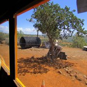 View from the bus.