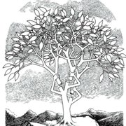 a drawing of a tree with a man on it