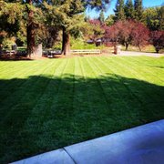 a green lawn with a bench in the middle