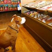 TrailBlazer offers a wide variety of USA sourced treats. We have an assortment of training treats, tasty biscuits, freeze dried goodies and