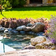 a garden with a pond and stone steppings