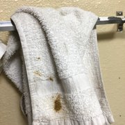 . It was disgusting and the bathroom and "clean" towels they laid out were not fit for human use!
