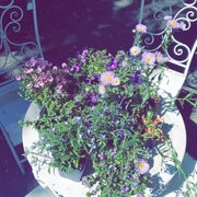 A centerpiece to remember.