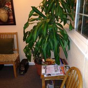 Inside the Office