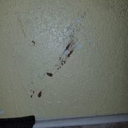 Poop? Blood? Let's play a game??
