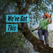 a man on a tree