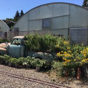Garden truck