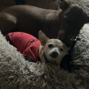 They love each other..