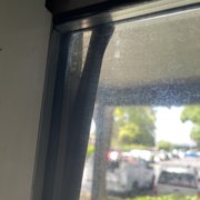 Failing seals that I was able to get repaired (still not sealed).