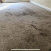 Carpet cleaning - before