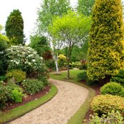 a pathway in a garden