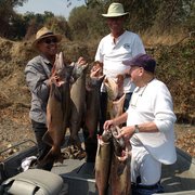 Frank will give the absolute best fishing experience bar none. We have choosen Franks Guide service because catching counts!