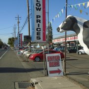 We have the giant COW out front .... You can't miss us. Home of the "No Bull"