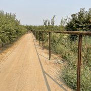 Pipe post
