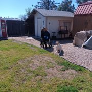 waiting for his favorite driver Shane! You guys have many amazing drivers Mike is also a favorite! P.s the dog loves them equally.