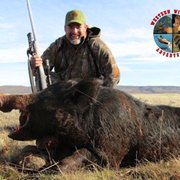 California Wild Pig Hunts