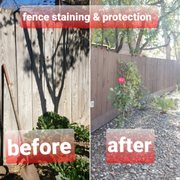 Protect your investments and get your fence stained today. We can stain it natural or in the color of your choice. Call today!