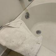 Black mold and filthy towels.