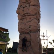 Climb to the top and grab the 100$