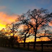Sunset in Bidwell Park