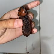 a hand holding a piece of chocolate